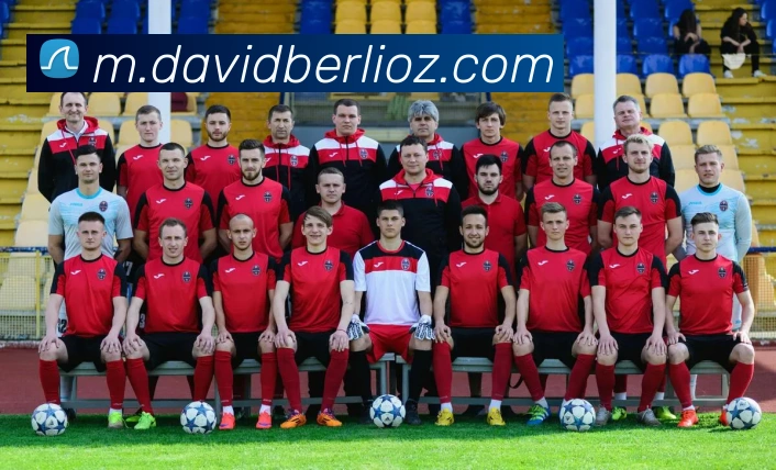 数据分析功能